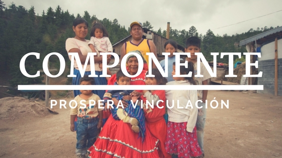 componente prospera vinculacin