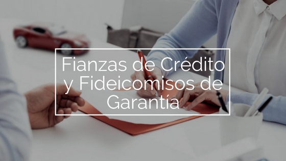 fianzas de crdito y fideicomisos de garanta