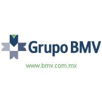 logotipo bmv